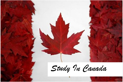 КАНАДЫН ОЮУТНЫ ВИЗНИЙ ШИНЭ ЖУРАМ